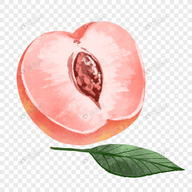 WWW,664se·COM网站APPAPP应用