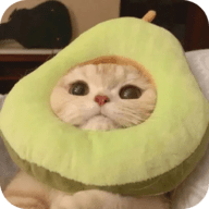 WWW,5kkbb·COM网站APPAPP应用